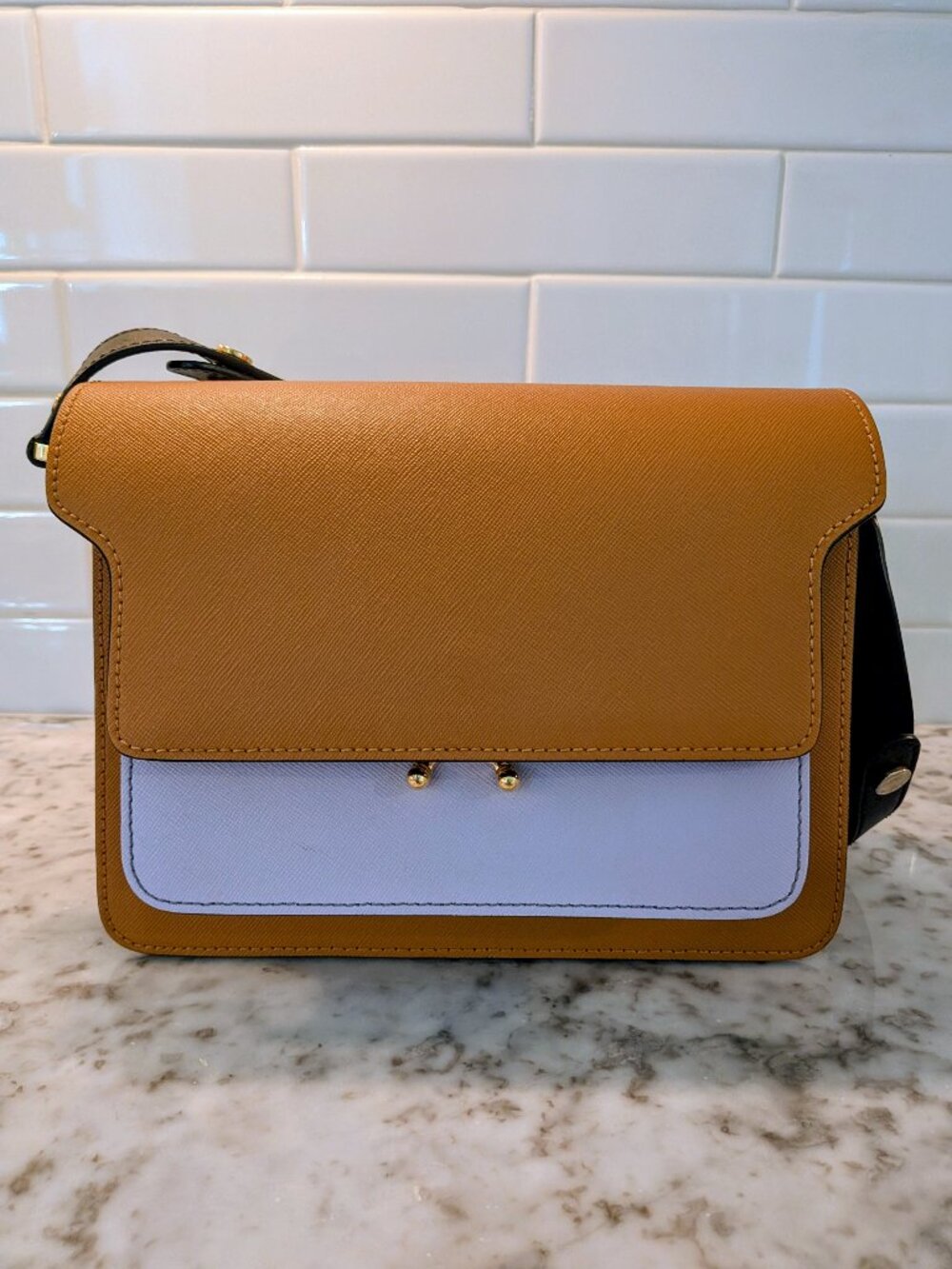 Marni Trunk Bag saffiano color block leather